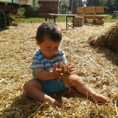 Strohwelt Schloss Ludwigsburg