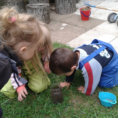 Was fressen Regenwürmer?