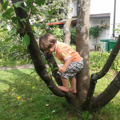 Kletterbaum für Kleine